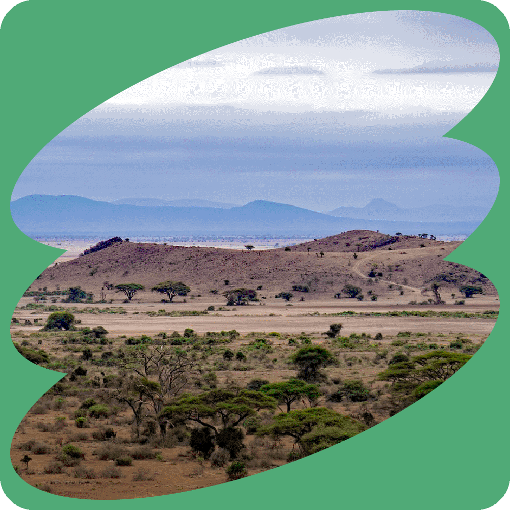 Swahili