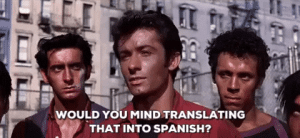 meme that reads: would you mind translating that into spanish?