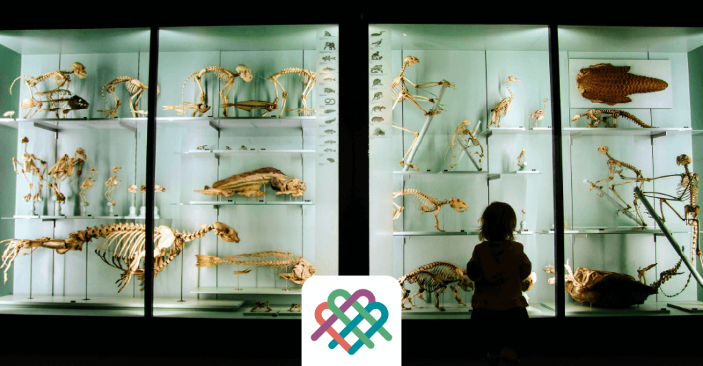 Museum Translations for Multilingual Audiences