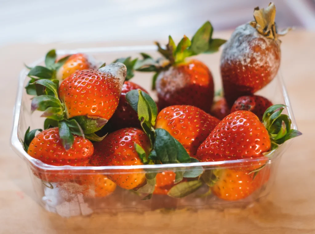 Moldy strawberries