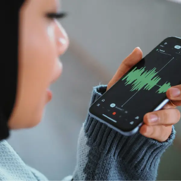 Multilingual Audio Annotation