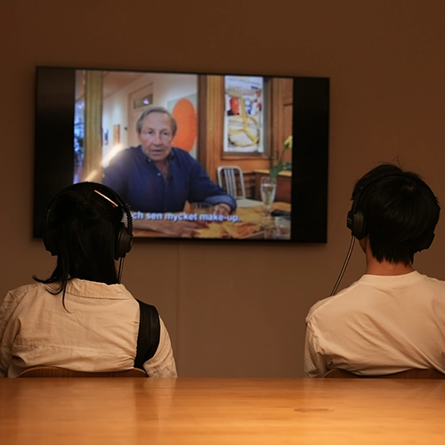 Subtitling or voiceover