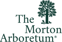 The Morton Arboretum logo